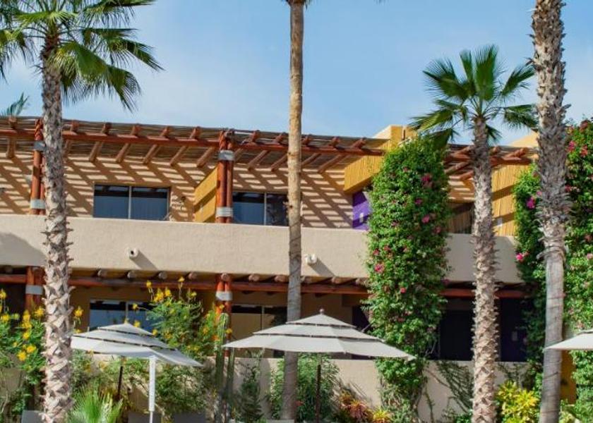 Baja California Sur Cabo San Lucas Swimming pool