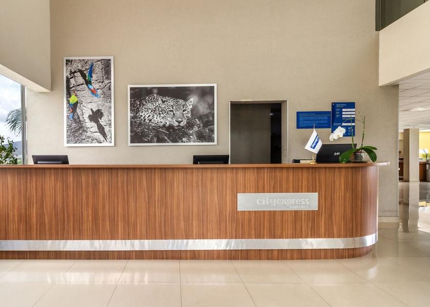Chiapas Tuxtla Gutierrez Reception