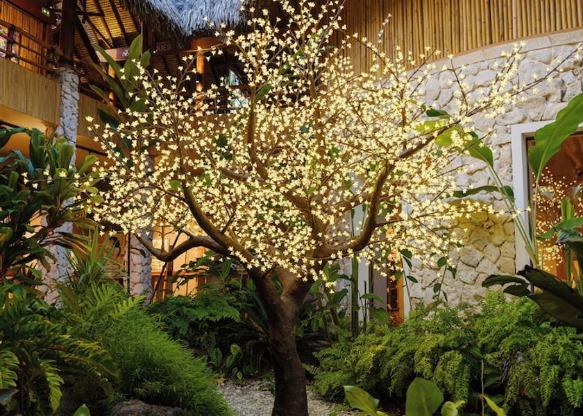  Bora Bora Exterior Detail