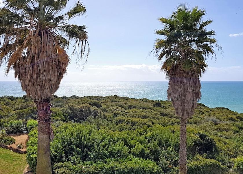 Faro Lagoa View from room