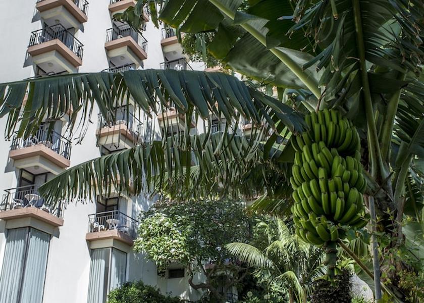 Madeira Region Funchal Exterior Detail