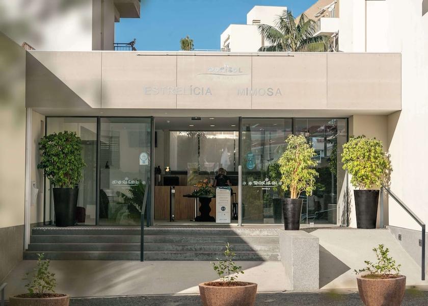 Madeira Region Funchal Exterior