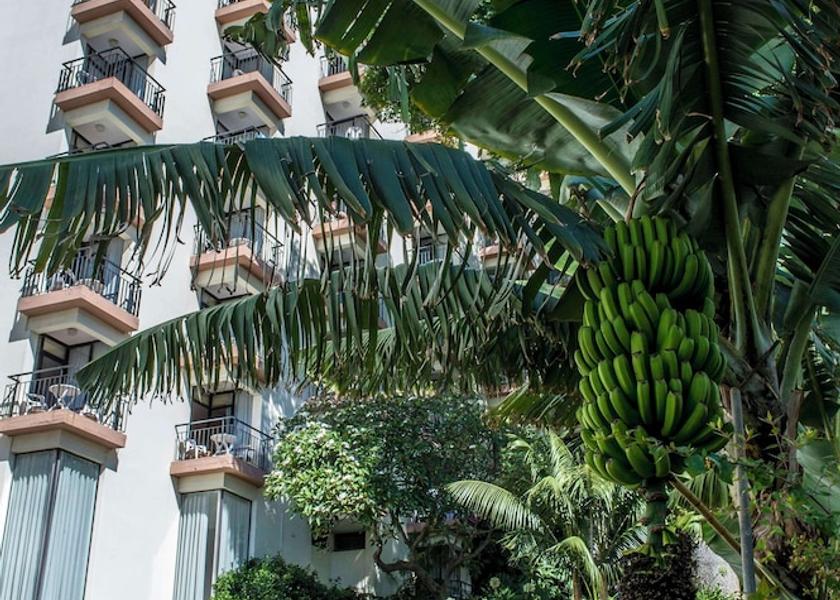Madeira Region Funchal Exterior