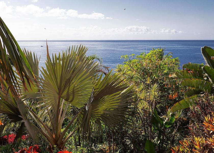 Madeira Region Funchal View from room
