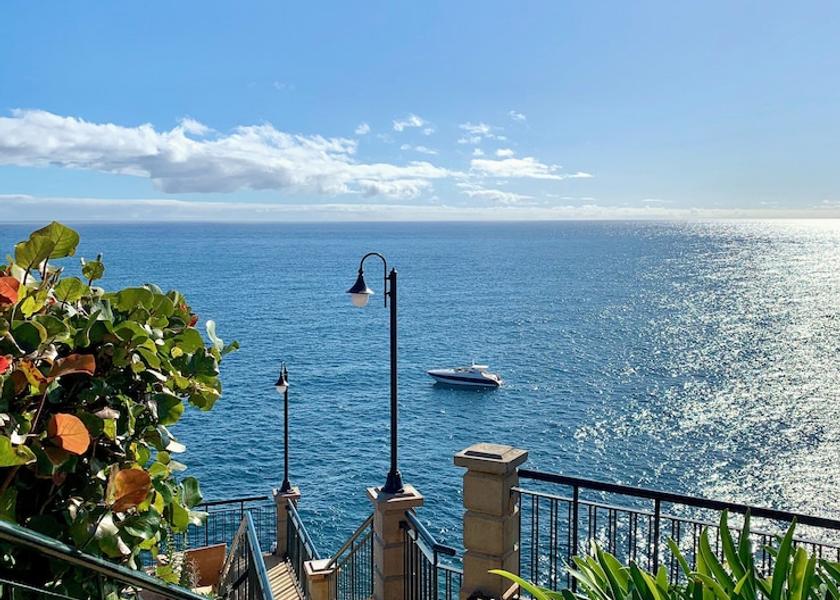 Madeira Region Funchal View from property