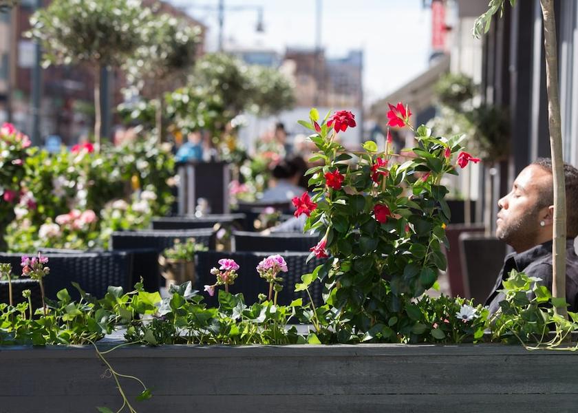 Norrbotten County Lulea Outdoor Dining