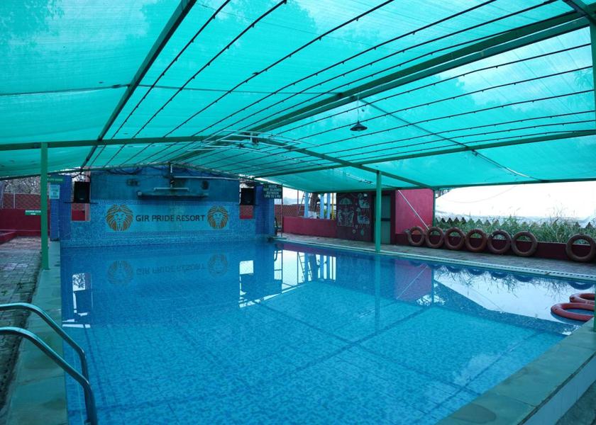 Gujarat Sasan Gir Swimming pool
