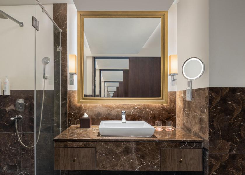 Maharashtra Nagpur Guest Bathroom