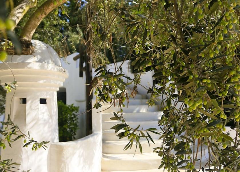 Nabeul Governorate Hammamet Property Grounds