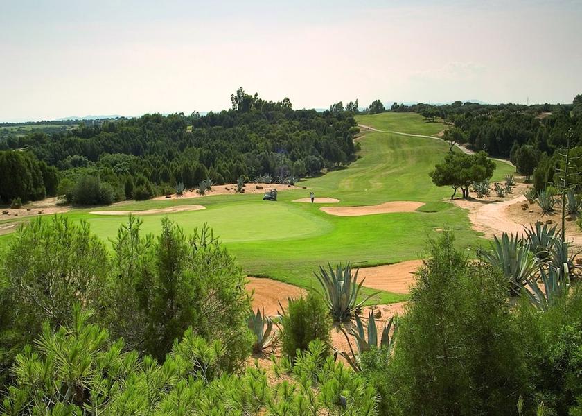 Nabeul Governorate Hammamet Golf