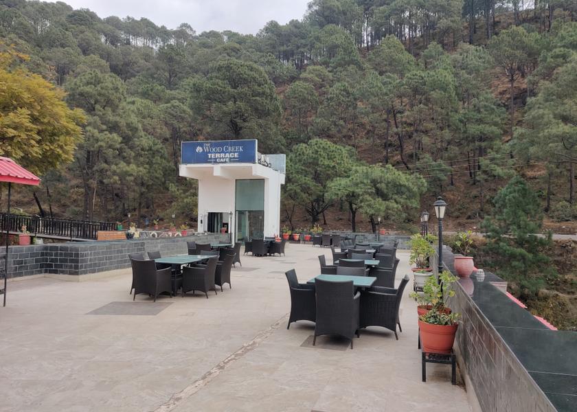 Himachal Pradesh Kasauli Outdoors