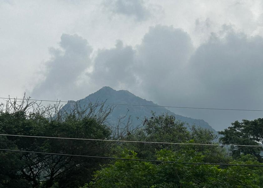 Tamil Nadu Tiruvannamalai Hotel View
