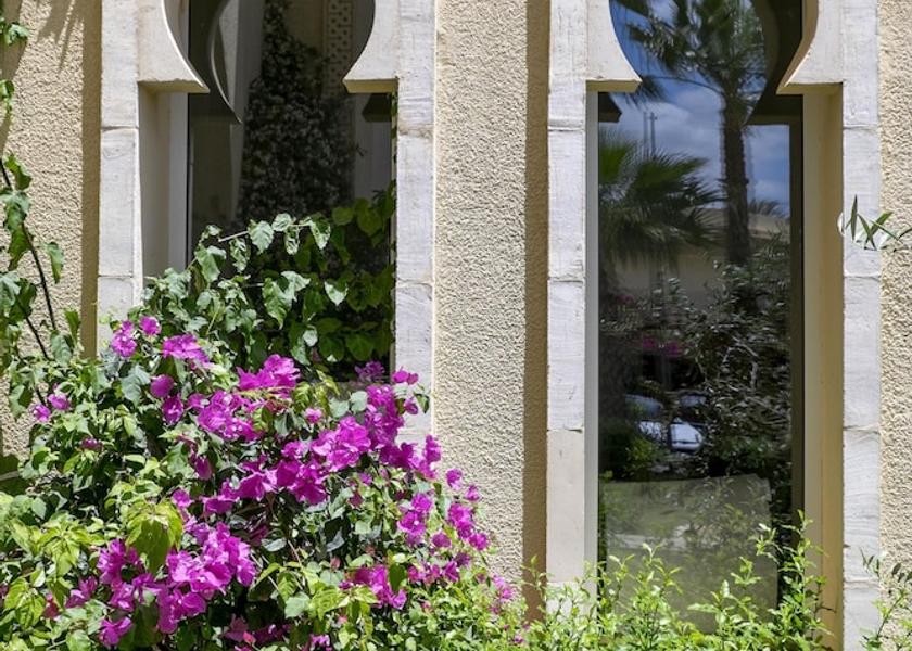 Nabeul Governorate Hammamet Garden