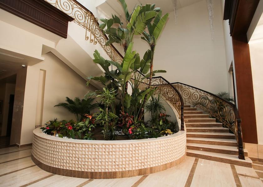 Sousse Governorate Sousse Staircase