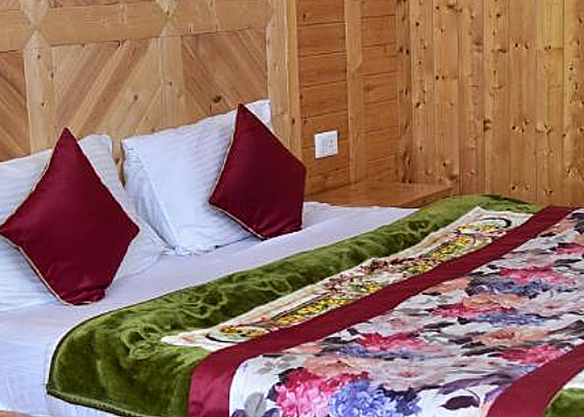 Himachal Pradesh Manali NA
