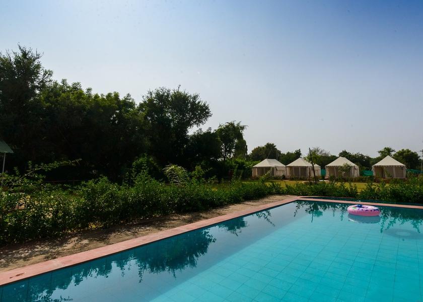 Rajasthan Pushkar Pool