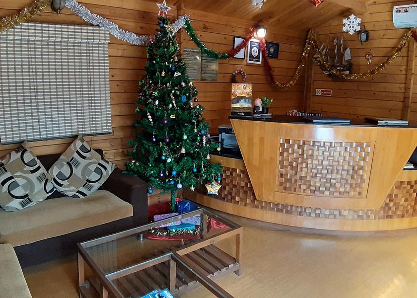 Goa Baga Public Areas