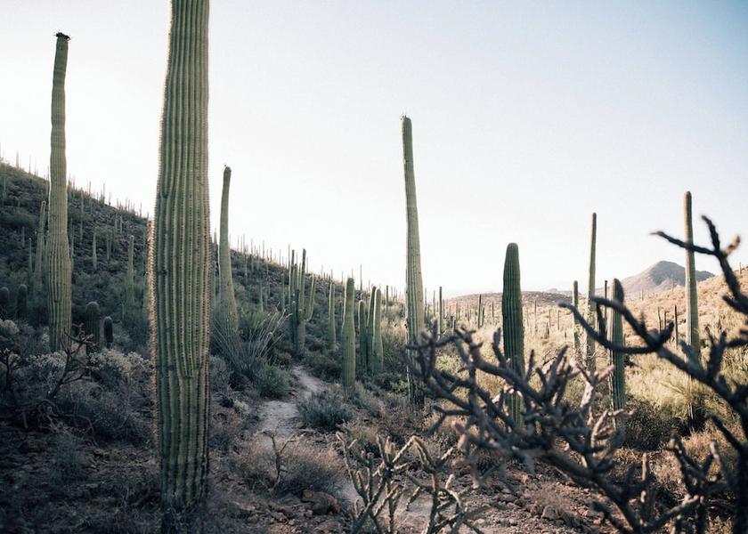 Arizona Tucson Hiking