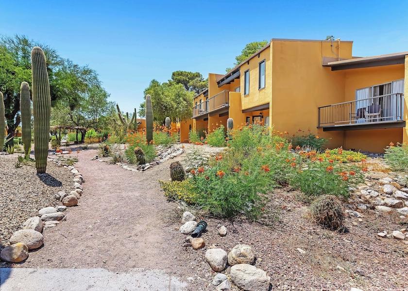 Arizona Tucson Amenity