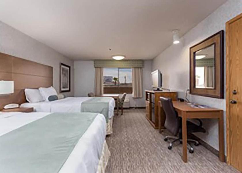 Arizona Yuma Room