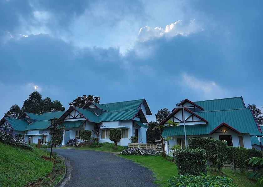 Kerala Munnar Garden