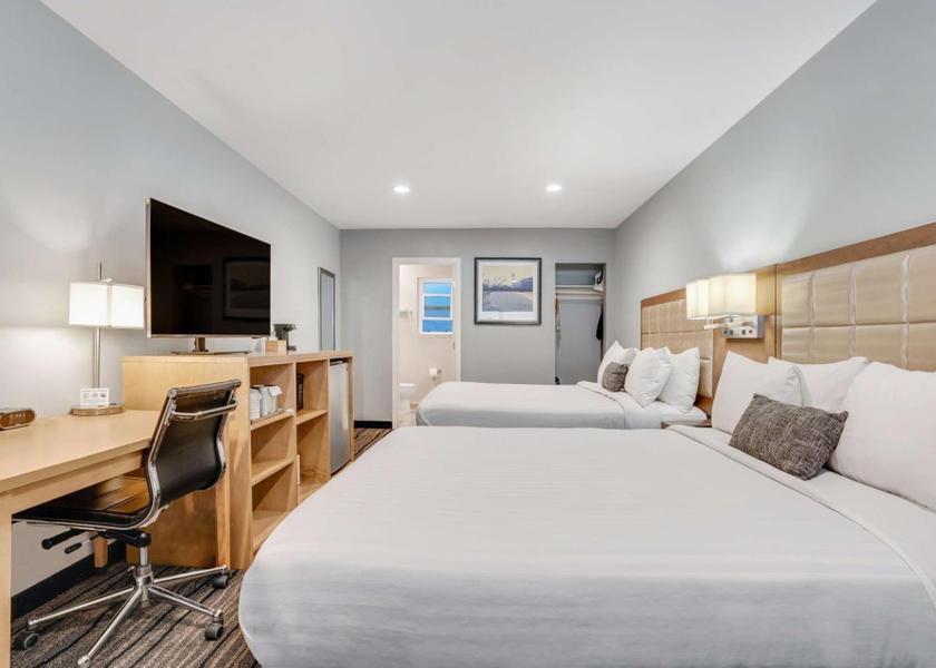 California Berkeley 2 queen beds, nonsmoking