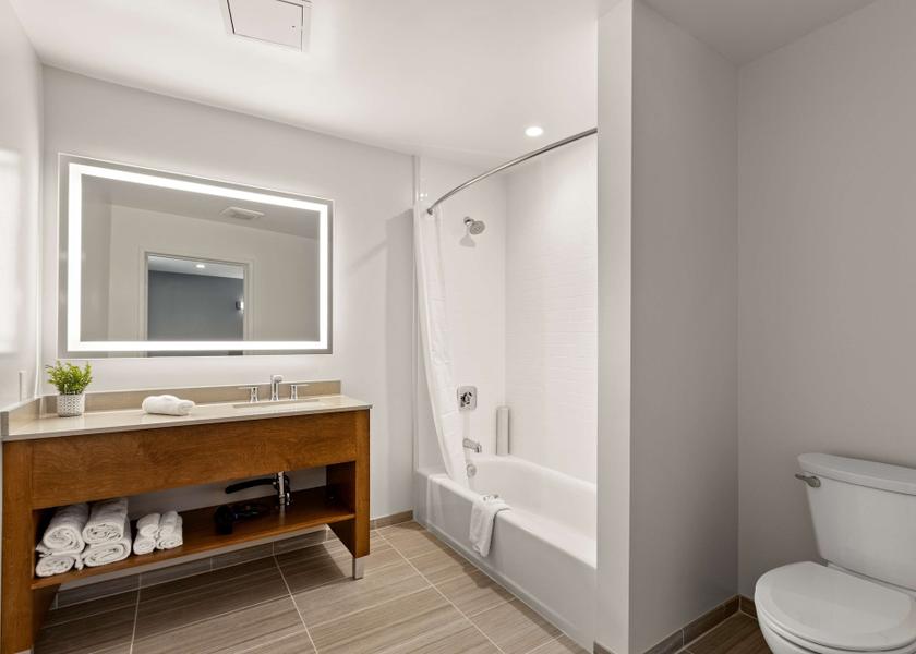 California Agoura Hills Bathroom