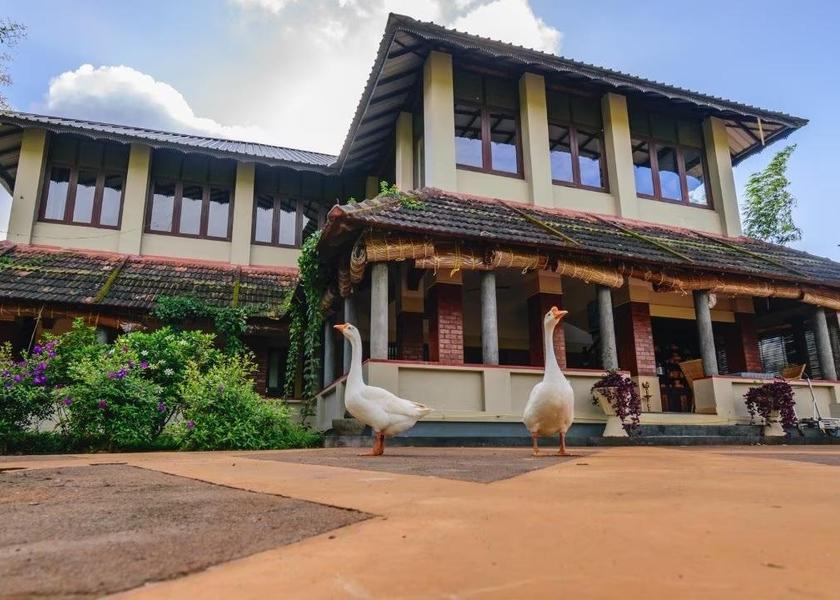 Kerala Wayanad Hotel Exterior