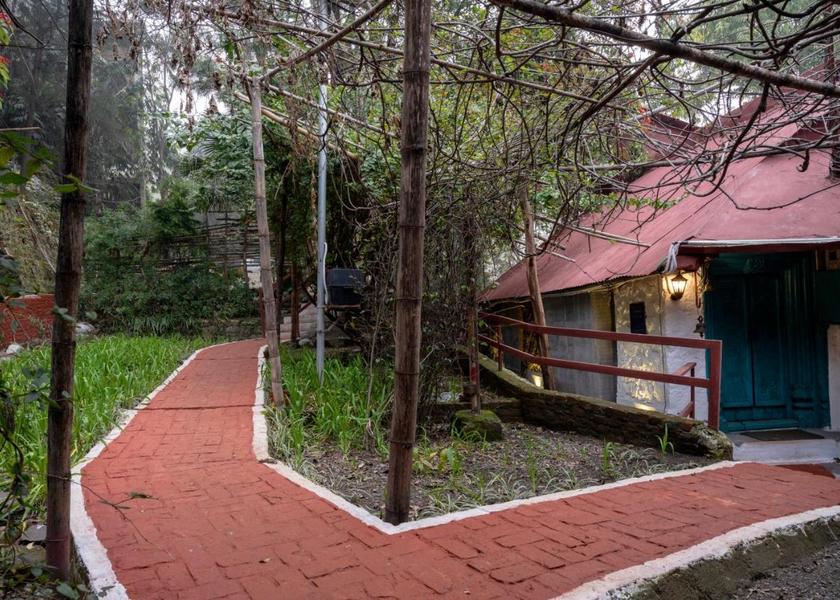 Uttarakhand Nainital Outdoors