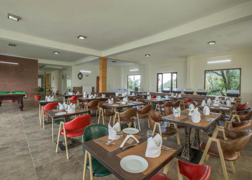 Himachal Pradesh Chail Food & Dining