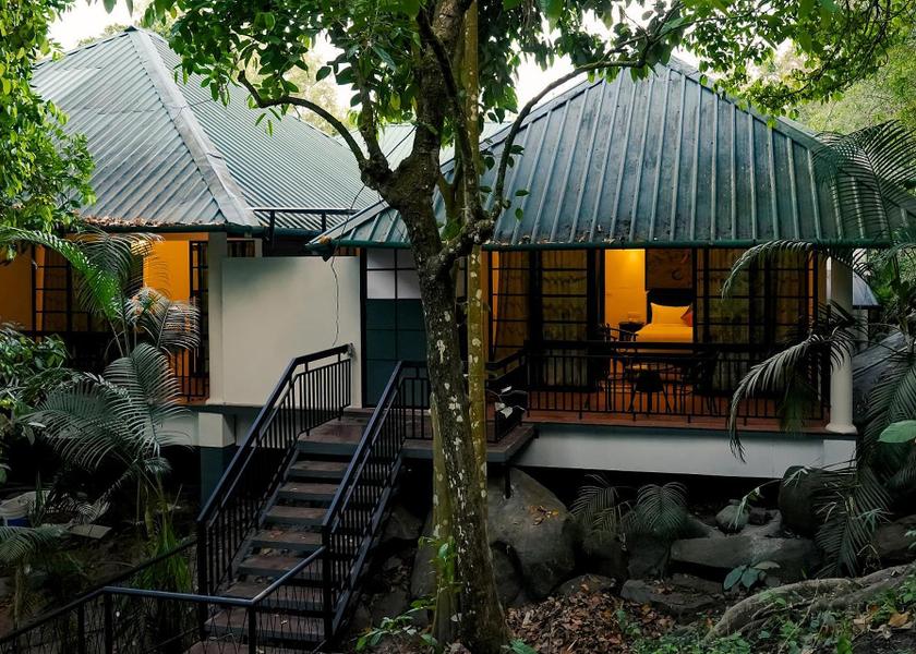 Kerala Wayanad View