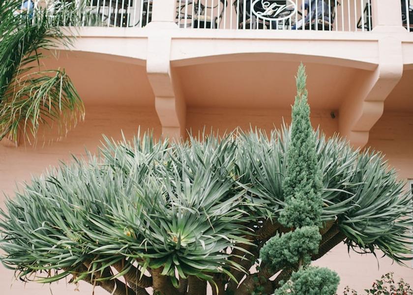 California La Jolla Exterior