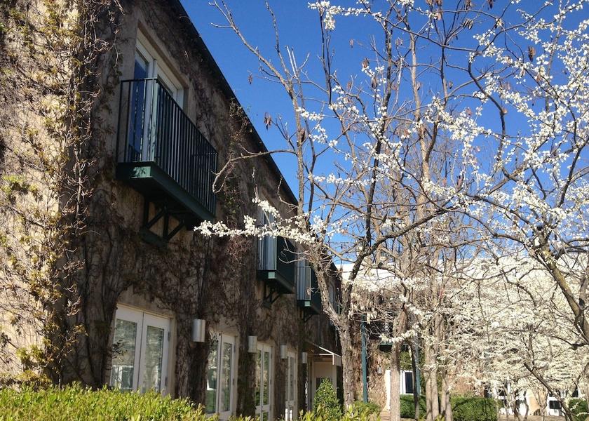 California St. Helena View From Room