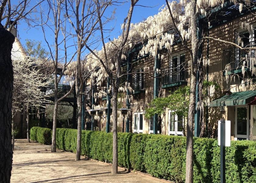 California St. Helena Courtyard