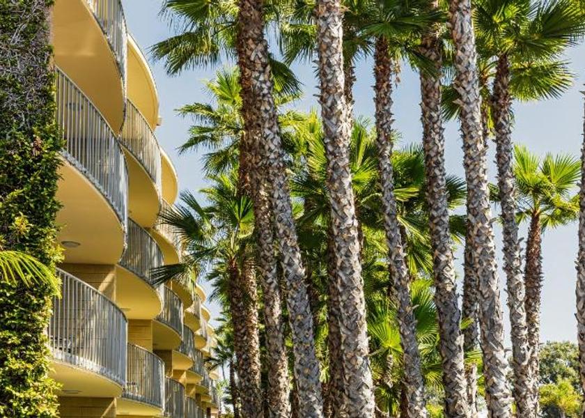 California San Diego 