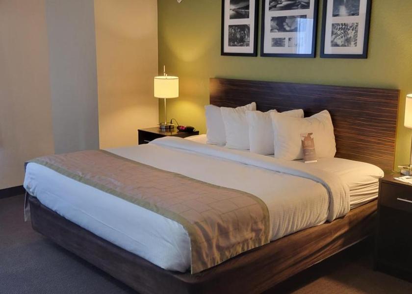 Colorado Pueblo 1 King Bed Non-Smoking