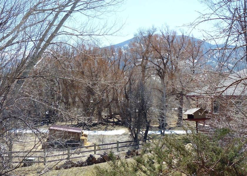 Colorado Salida Aerial View