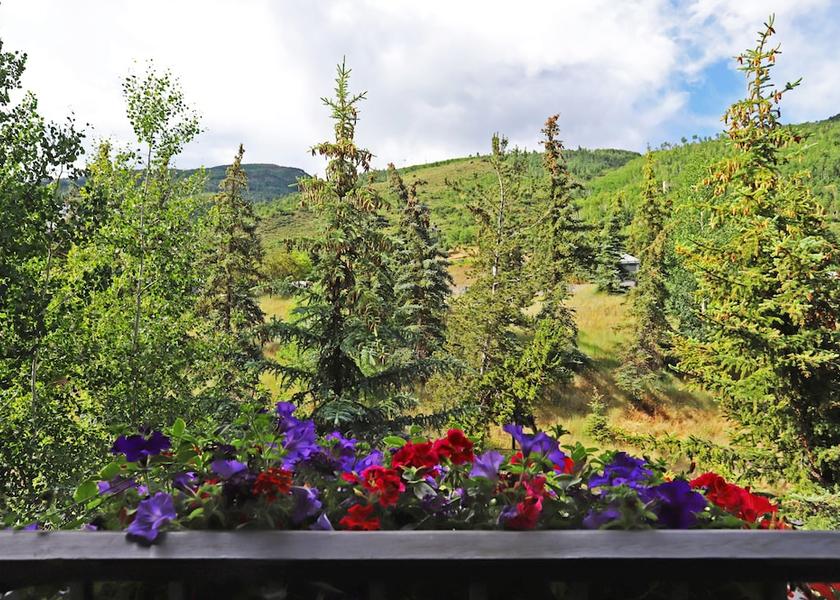 Colorado Vail View From Room