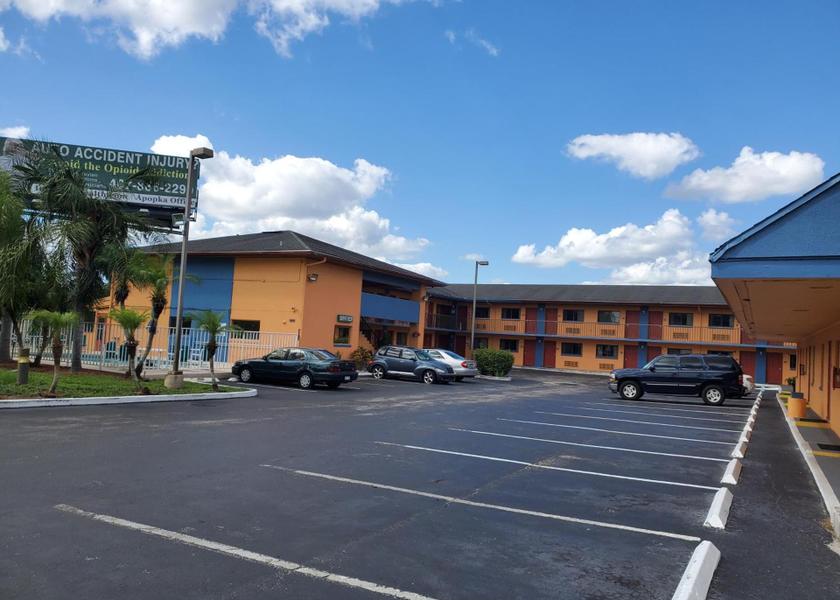 Florida Apopka 