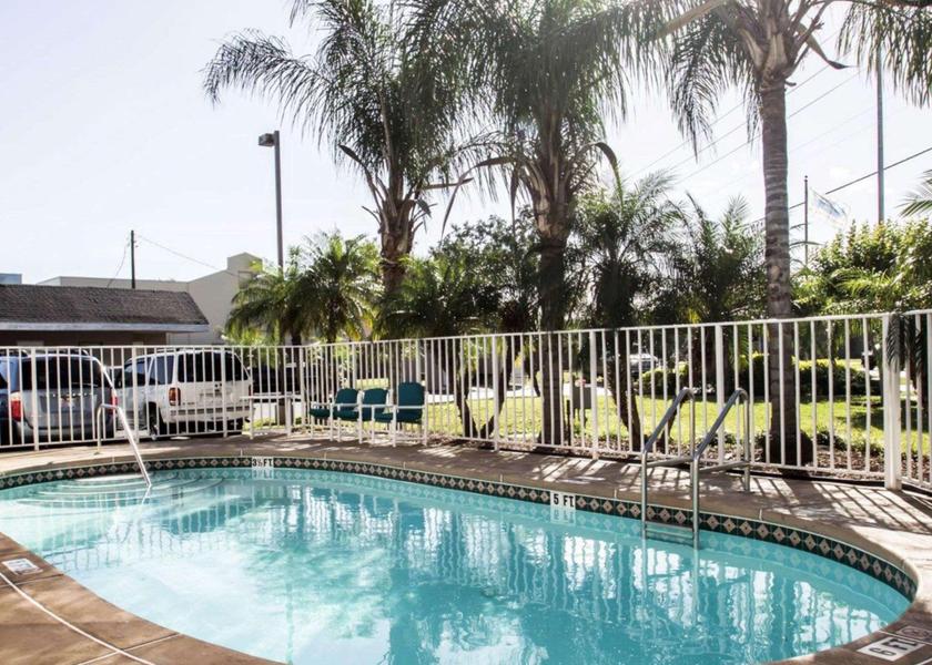 Florida Apopka swimming pool [outdoor]