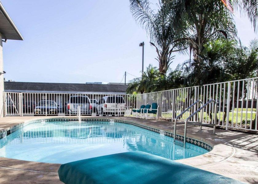 Florida Apopka swimming pool [outdoor]