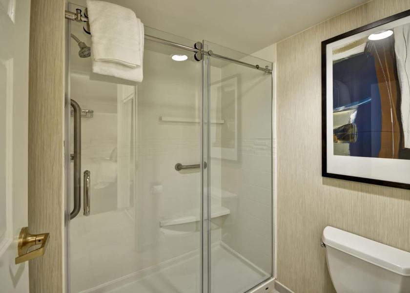 Florida Jacksonville King Studio with Sofa Bed - Hearing Accessible