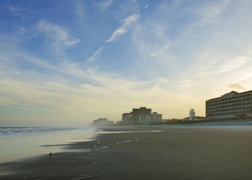 Florida Jacksonville Beach View from Property