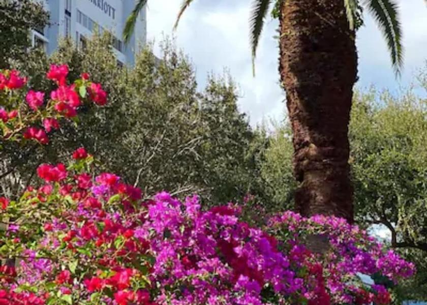 Florida Palm Beach Gardens Garden