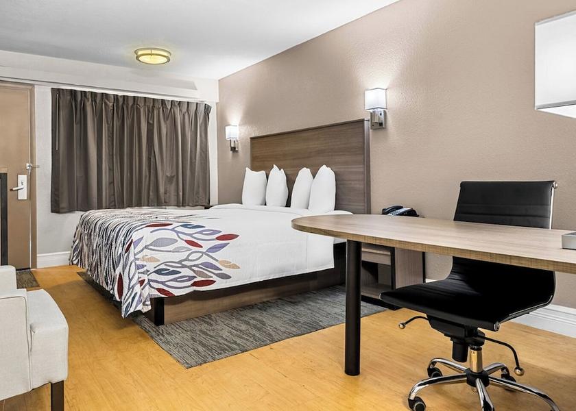 Florida Tampa Room