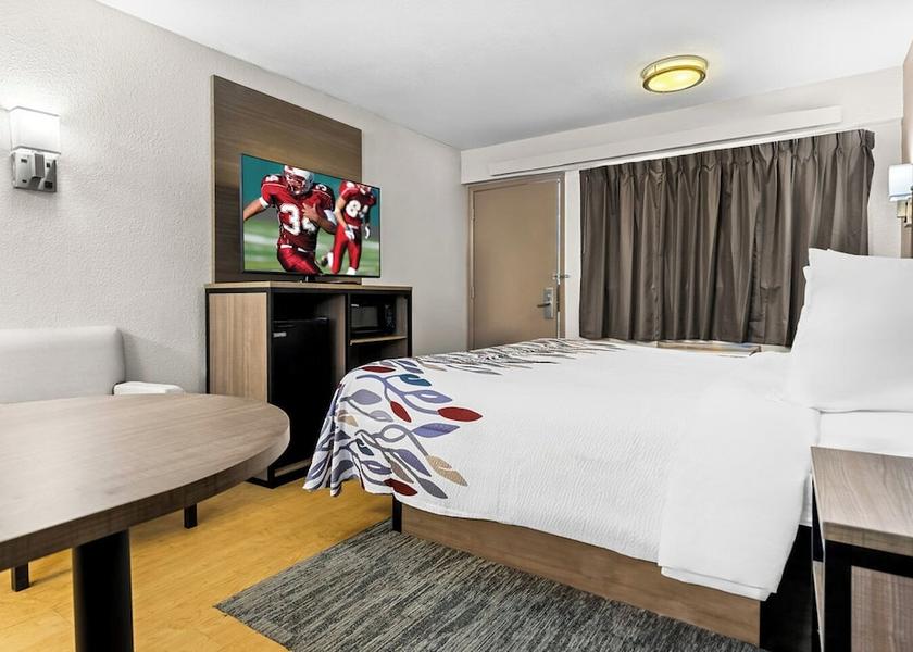 Florida Tampa Room