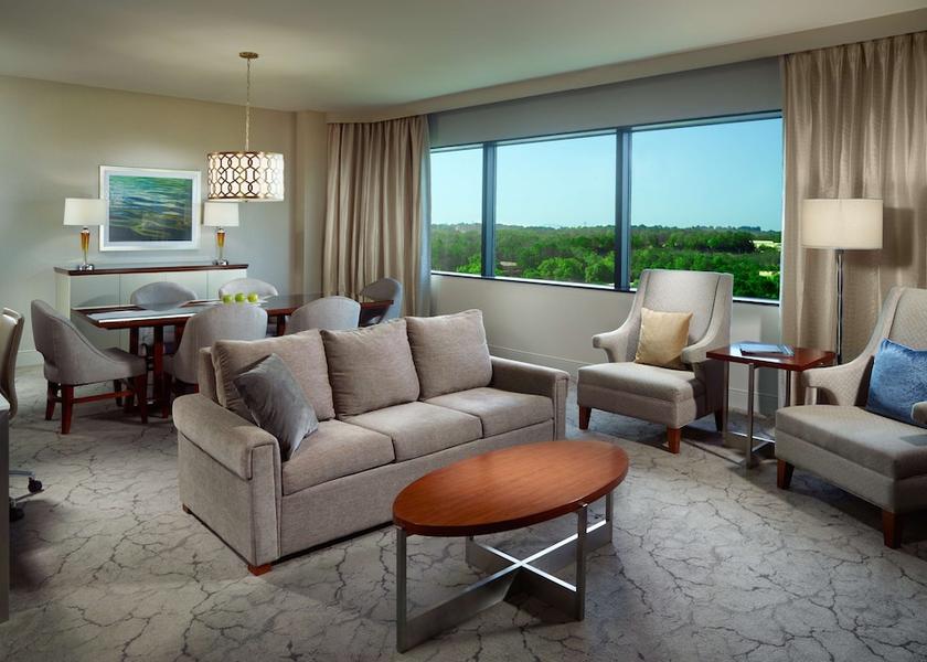 Georgia Peachtree Corners Living area