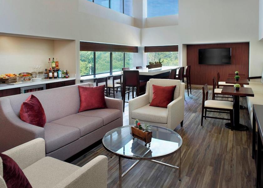 Georgia Peachtree Corners Lounge