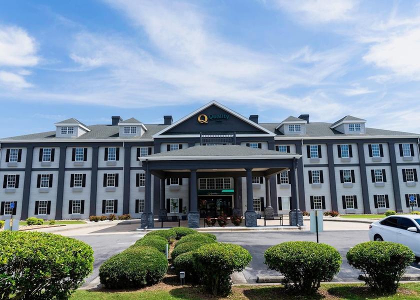 Georgia Rome Primary image