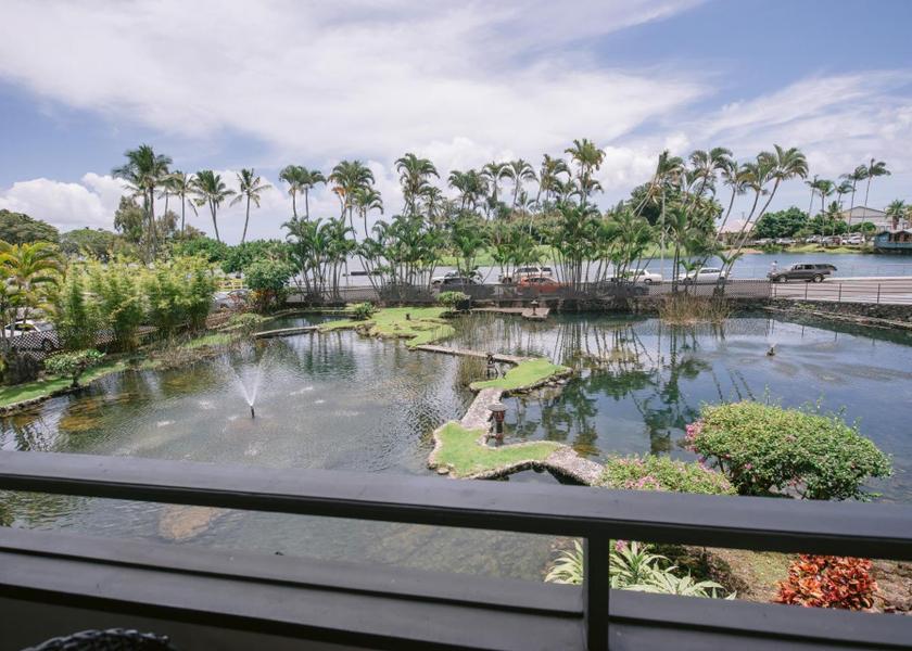 Hawaii Hilo view